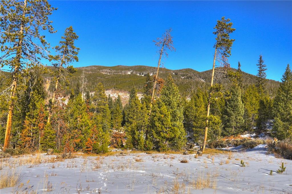 280 Gold Hill Road Breckenridge, CO 80424 - Photo 13 of 34 a view of a yard with a building in the background