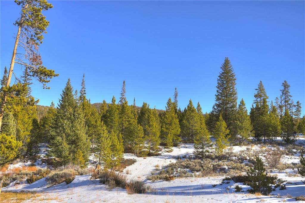 280 Gold Hill Road Breckenridge, CO 80424 - Photo 14 of 34 a view of a yard