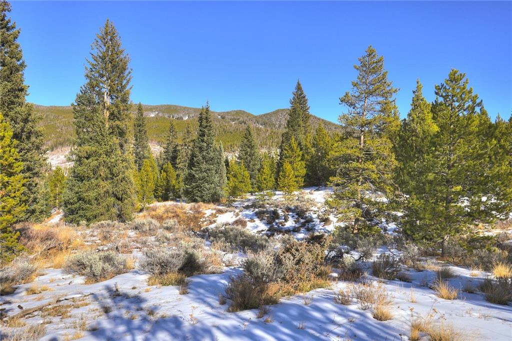 280 Gold Hill Road Breckenridge, CO 80424 - Photo 15 of 34 a view of a yard with a tree