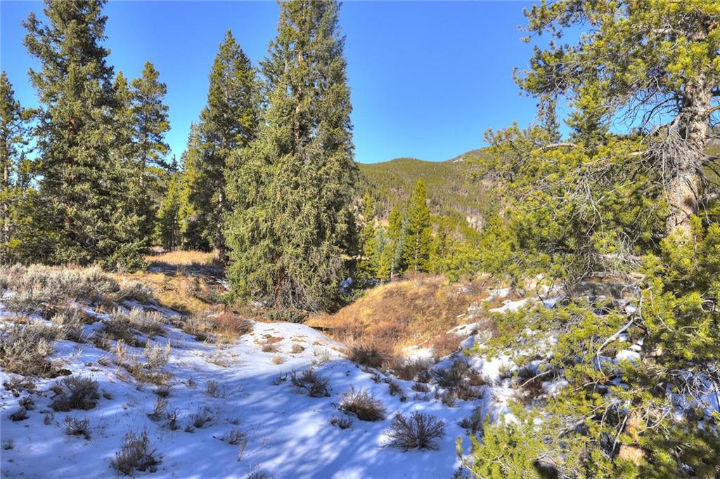 280 Gold Hill Road Breckenridge, CO 80424 - Photo 16 of 34 a view of a yard with a tree
