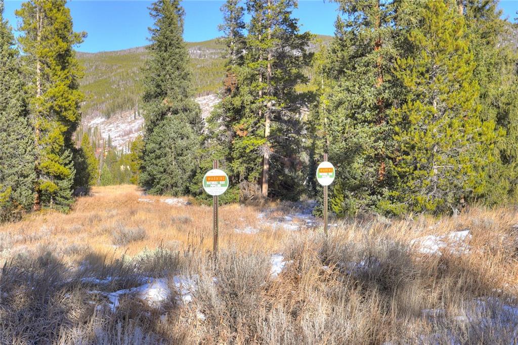 280 Gold Hill Road Breckenridge, CO 80424 - Photo 17 of 34 a view of a forest