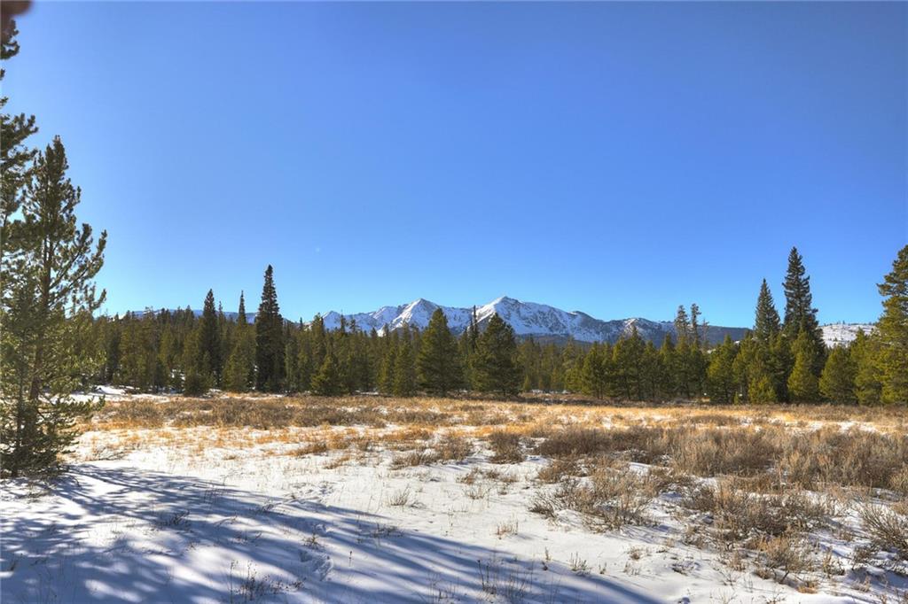 280 Gold Hill Road Breckenridge, CO 80424 - Photo 24 of 34 a view of a yard and trees