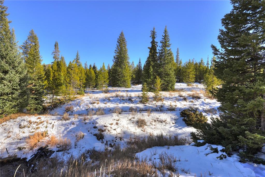 280 Gold Hill Road Breckenridge, CO 80424 - Photo 26 of 34 a view of a backyard of a house