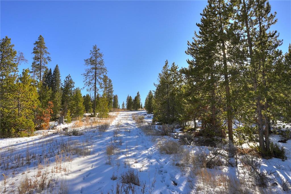 280 Gold Hill Road Breckenridge, CO 80424 - Photo 27 of 34 a view of a forest filled with trees