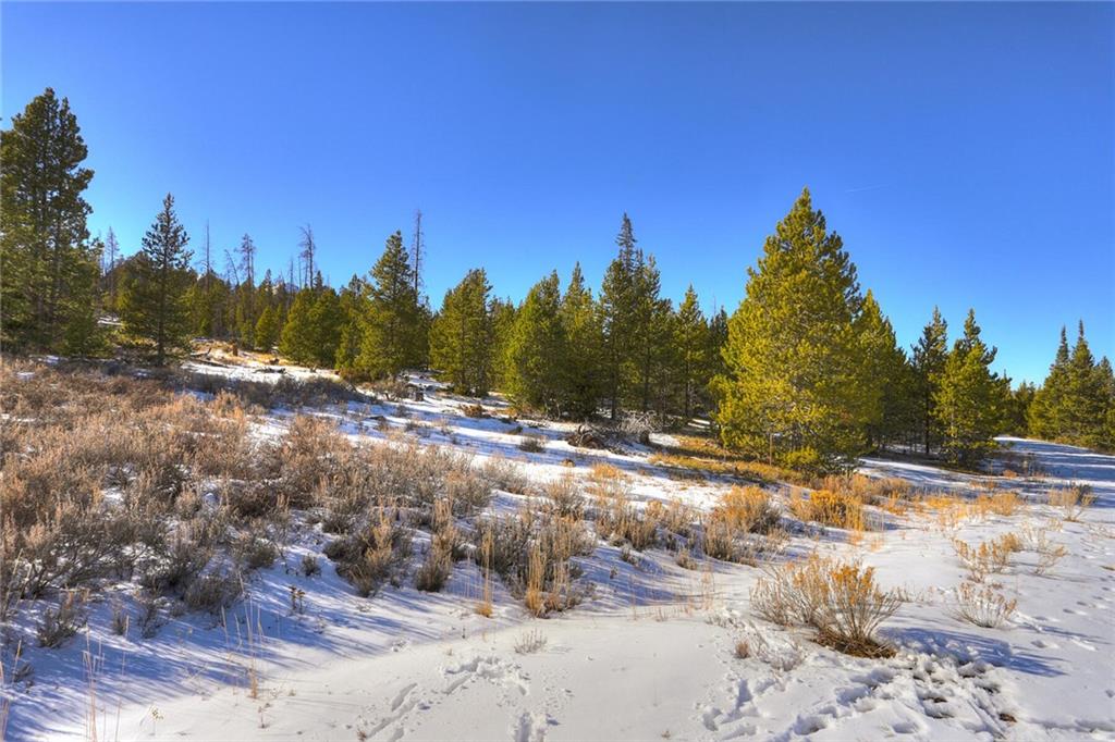 280 Gold Hill Road Breckenridge, CO 80424 - Photo 8 of 34 a view of a yard with trees