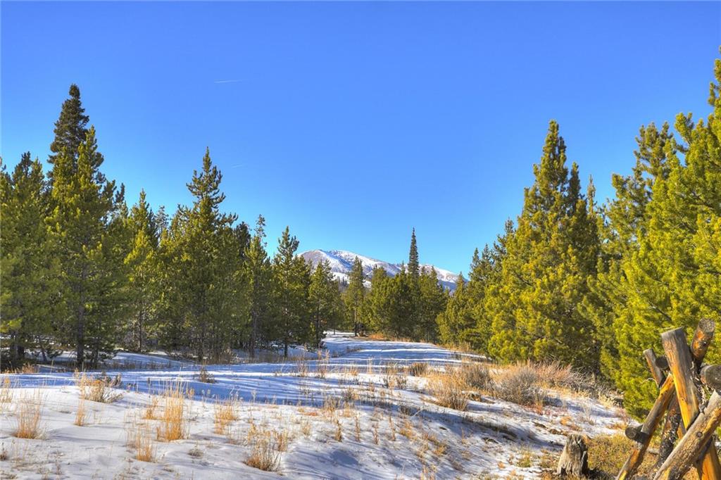 280 Gold Hill Road Breckenridge, CO 80424 - Photo 10 of 34 a view of a yard and entertaining space