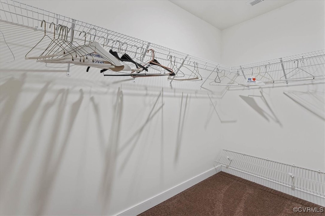 4086 Newville Road Waverly, VA 23890 - Photo 23 of 45 Spacious closet featuring carpet