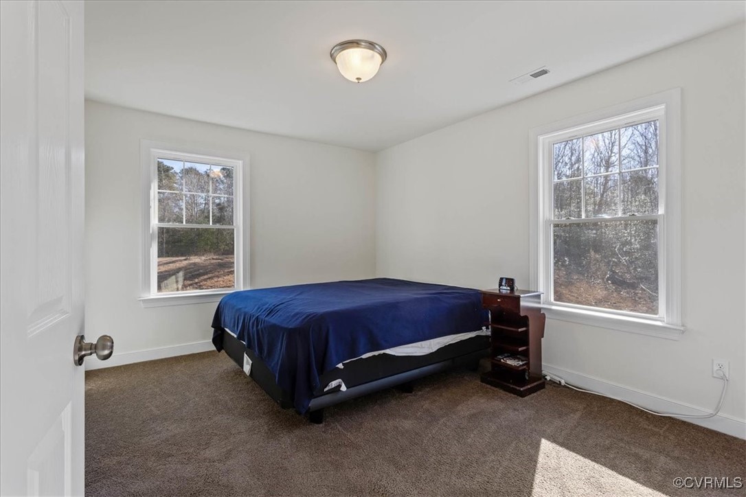 4086 Newville Road Waverly, VA 23890 - Photo 24 of 45 Carpeted bedroom featuring multiple windows