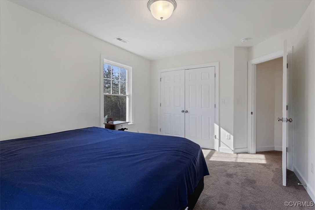 4086 Newville Road Waverly, VA 23890 - Photo 25 of 45 Bedroom with carpet flooring and a closet