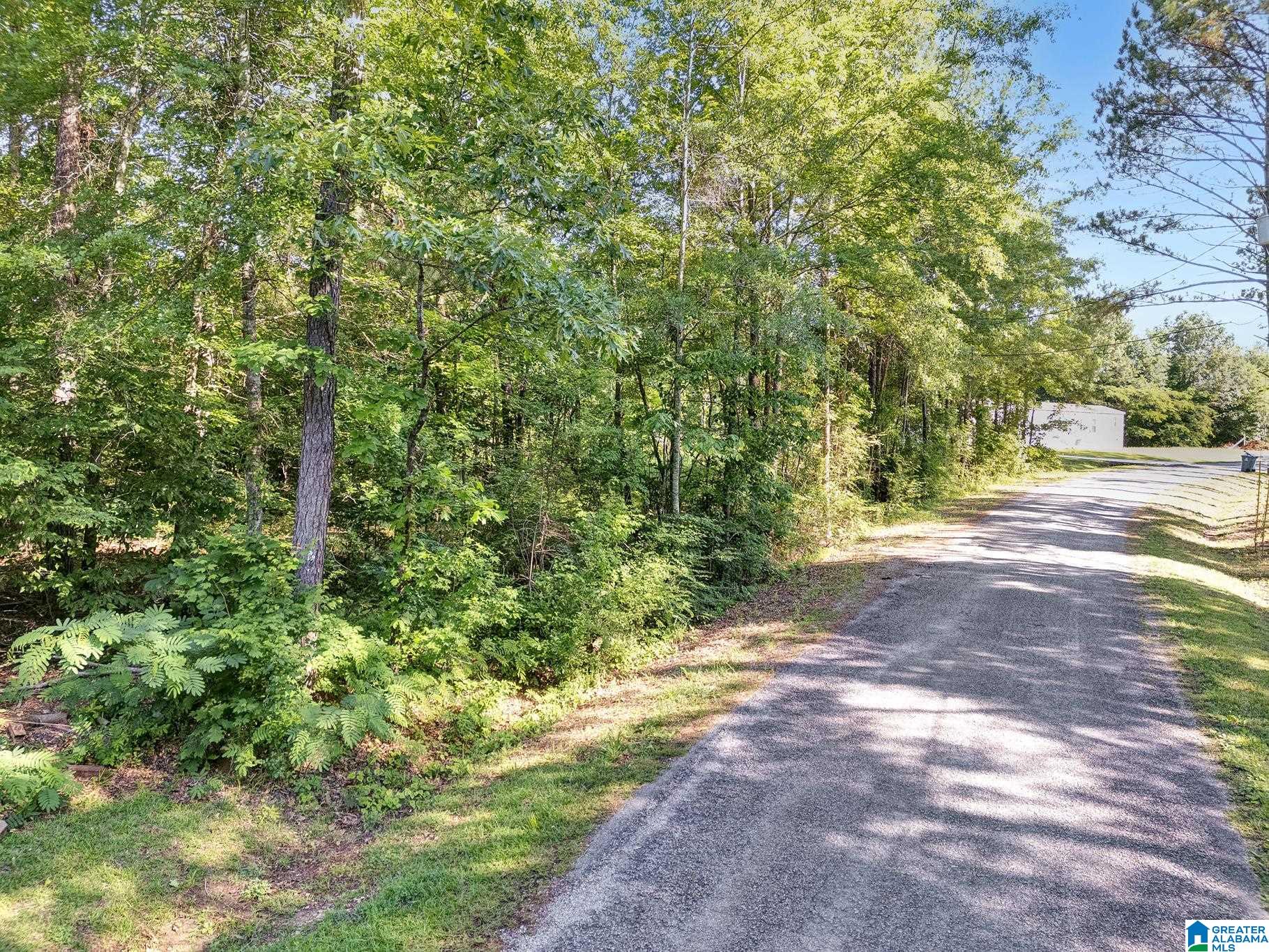 385 Ridgewood Drive Hayden, AL 35079 - Photo 41 of 41
