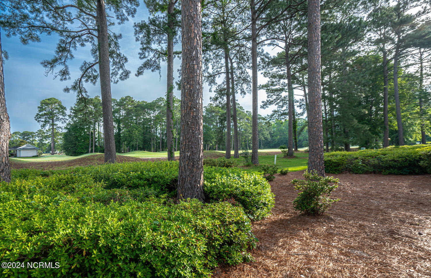 102 Rice Mill Circle, Unit 4 Sunset Beach, NC 28468 - Photo 30 of 41 Rear Area View
