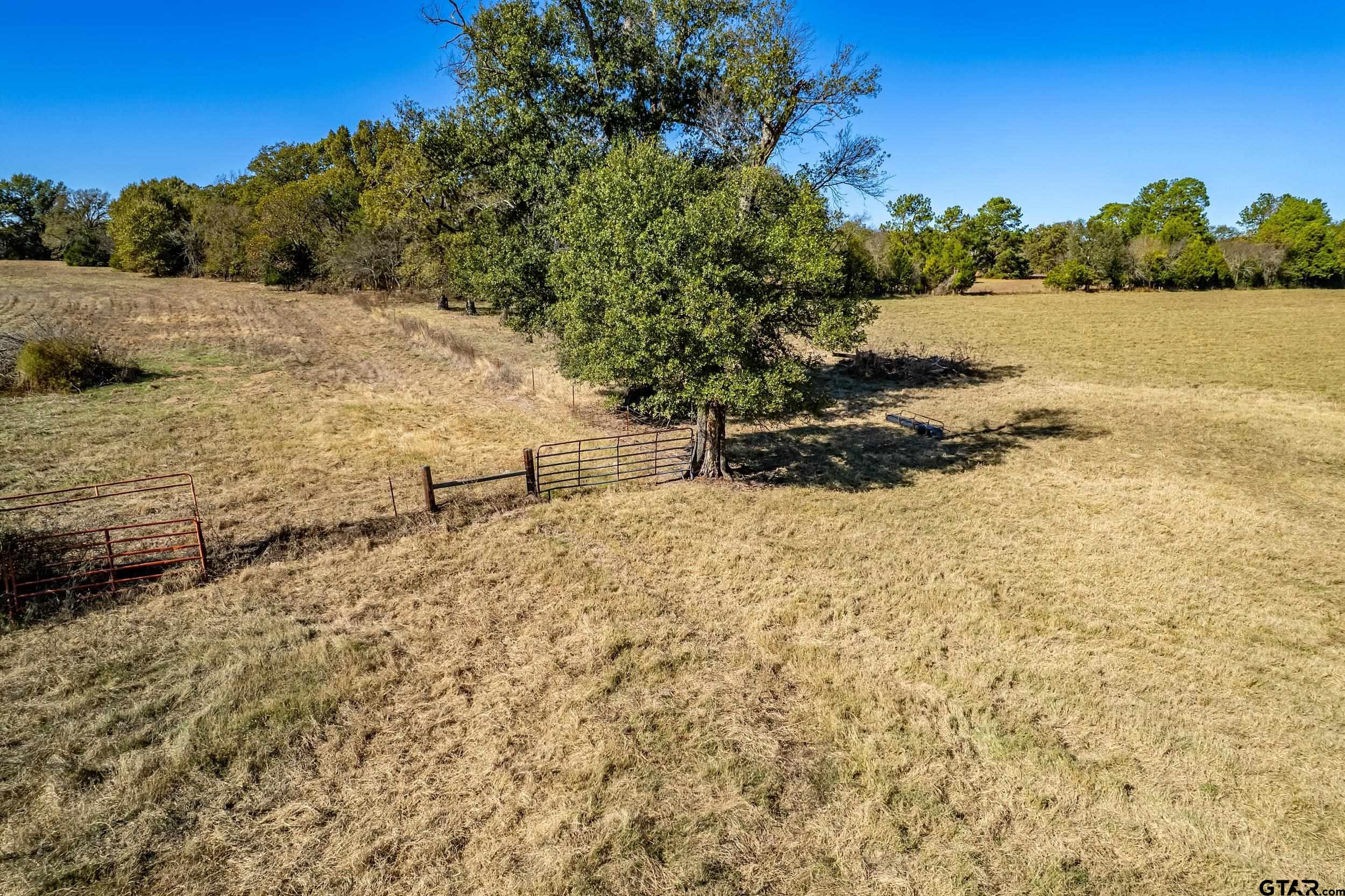 1504 Wills Point Wills Point, TX 75169 - Photo 14 of 17