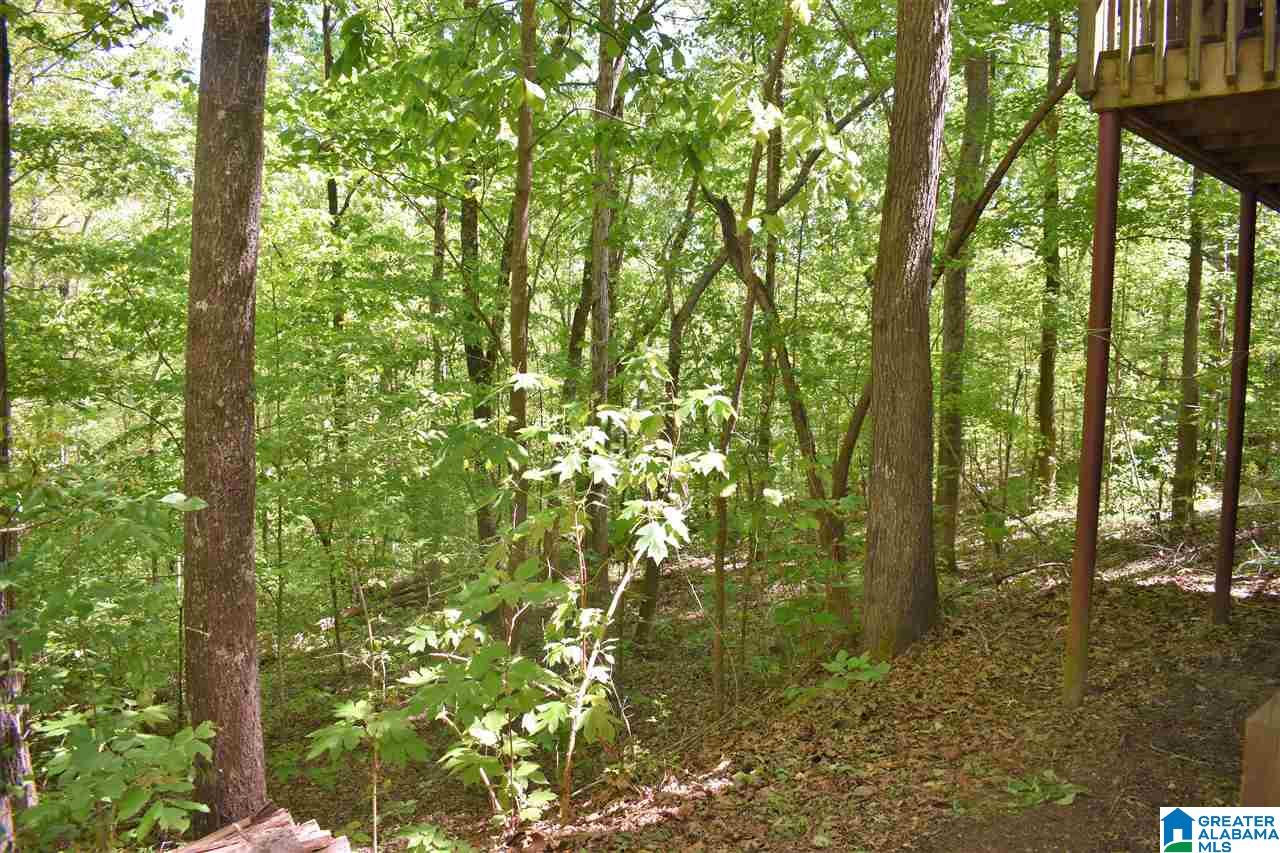 7301 Faucett Cut-Off Road Pinson, AL 35126 - Photo 31 of 34