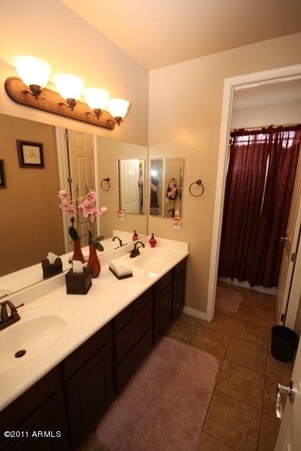 6287 South Rochester Drive Gilbert, AZ 85298 - Photo 19 of 35 Bathroom
