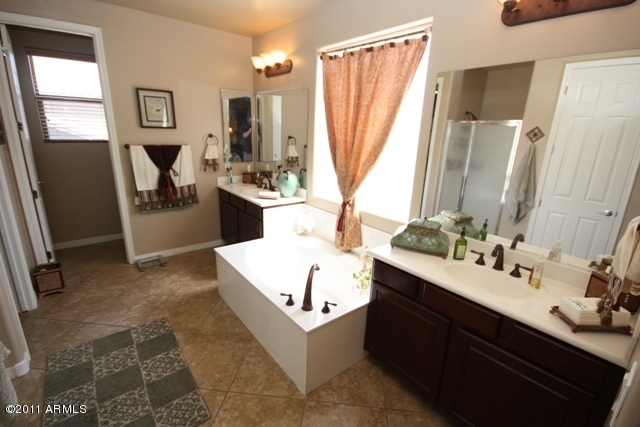 6287 South Rochester Drive Gilbert, AZ 85298 - Photo 26 of 35 Master Bathroom