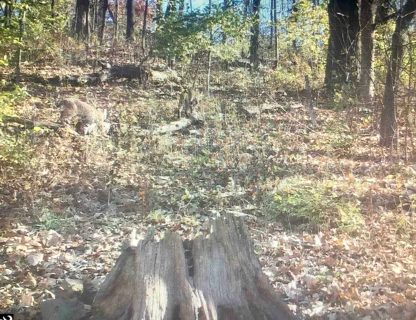 $600,000 | 16410 Waltz Lane, Boscobel, WI 53805