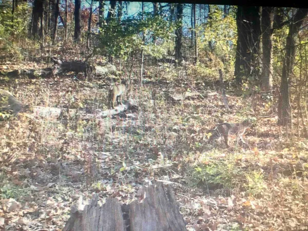 $600,000 | 16410 Waltz Lane, Boscobel, WI 53805