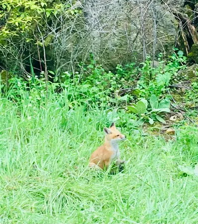 $600,000 | 16410 Waltz Lane, Boscobel, WI 53805