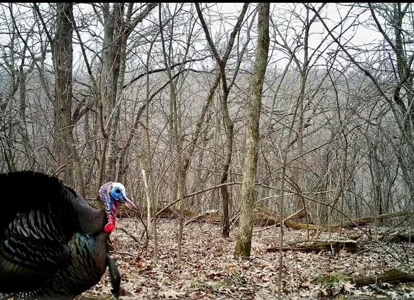 $600,000 | 16410 Waltz Lane, Boscobel, WI 53805