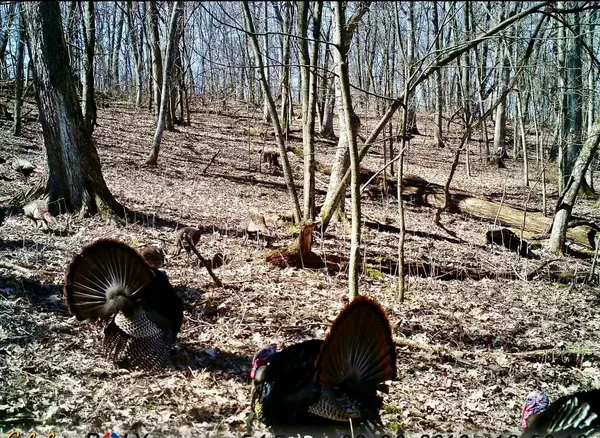 $600,000 | 16410 Waltz Lane, Boscobel, WI 53805