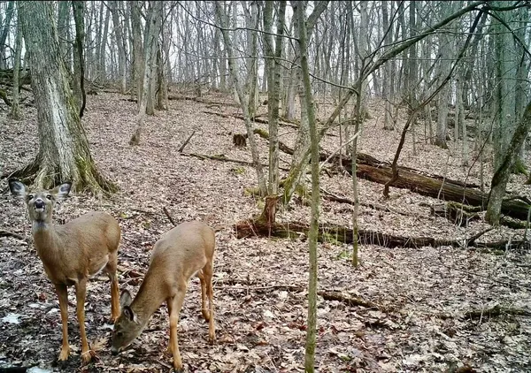 $600,000 | 16410 Waltz Lane, Boscobel, WI 53805