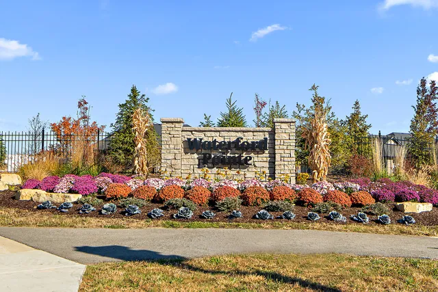a view of outdoor space with lots of flowers and trees