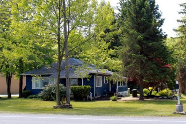 Main View