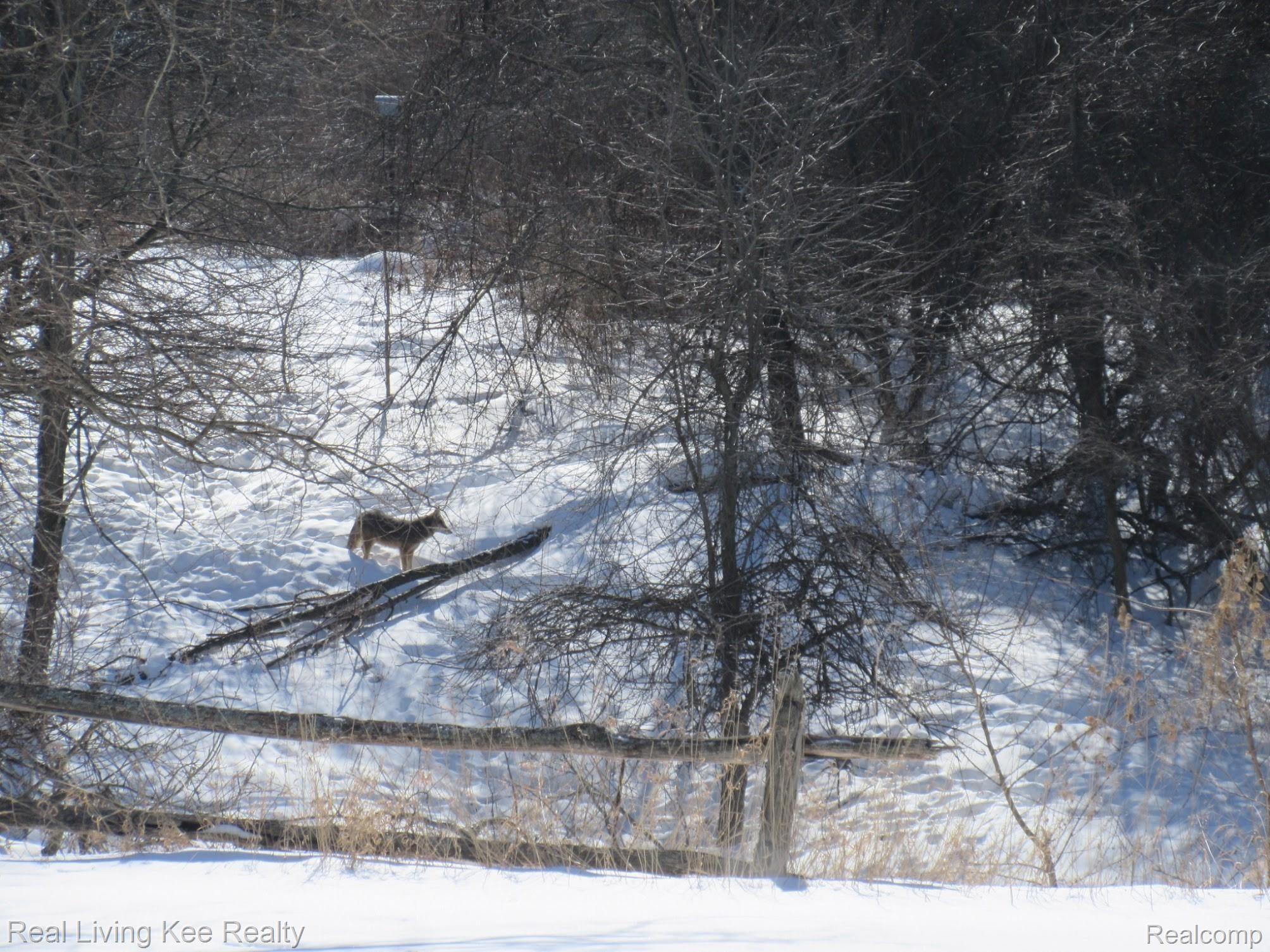 4230 Blood Road Metamora, MI 48455 - Photo 44 of 49 Visitors will come all winter
