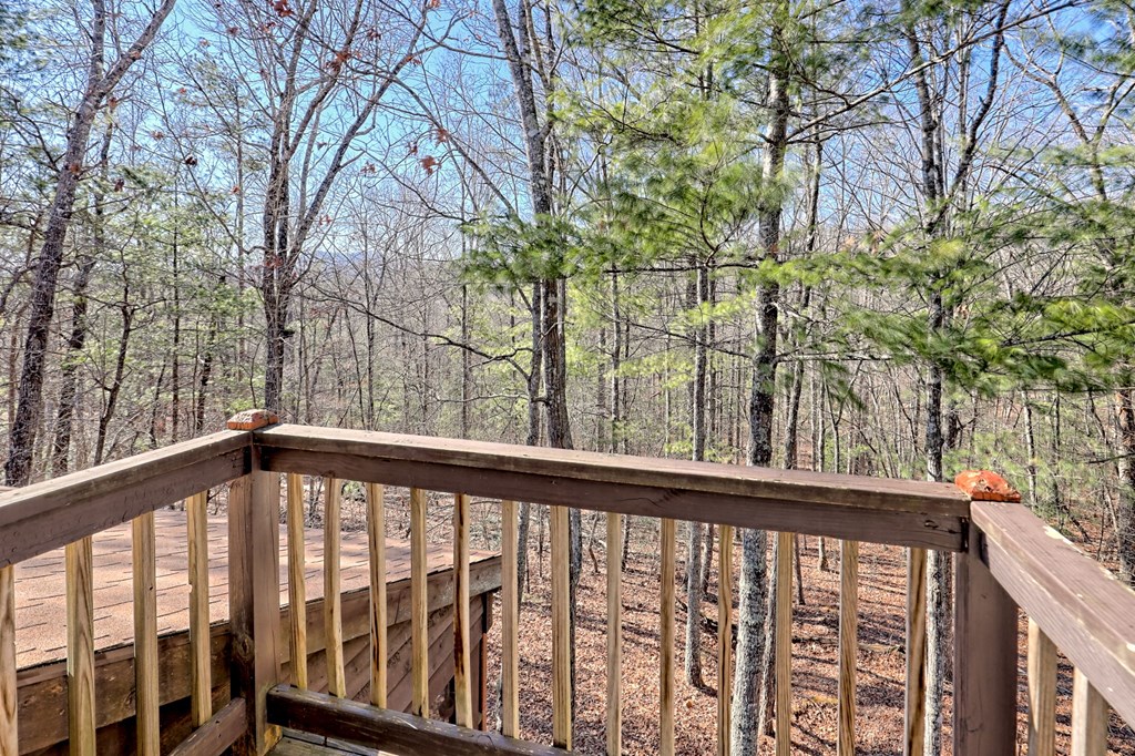 601 Sierra Circle Murphy, NC 28906 - Photo 31 of 87