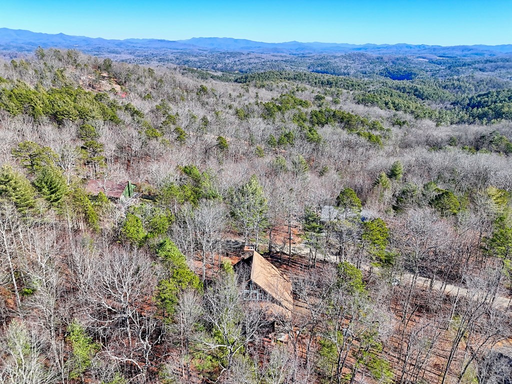 601 Sierra Circle Murphy, NC 28906 - Photo 69 of 87 a view of a forest with trees in the background