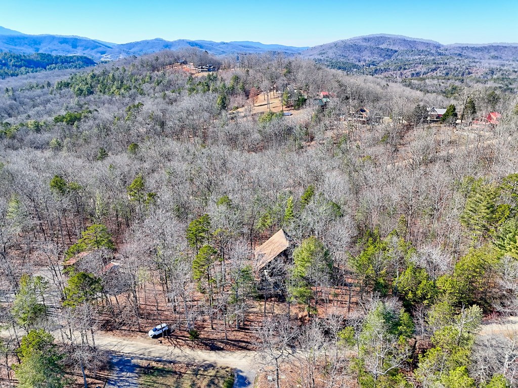 601 Sierra Circle Murphy, NC 28906 - Photo 70 of 87 a view of a forest with mountains in the background