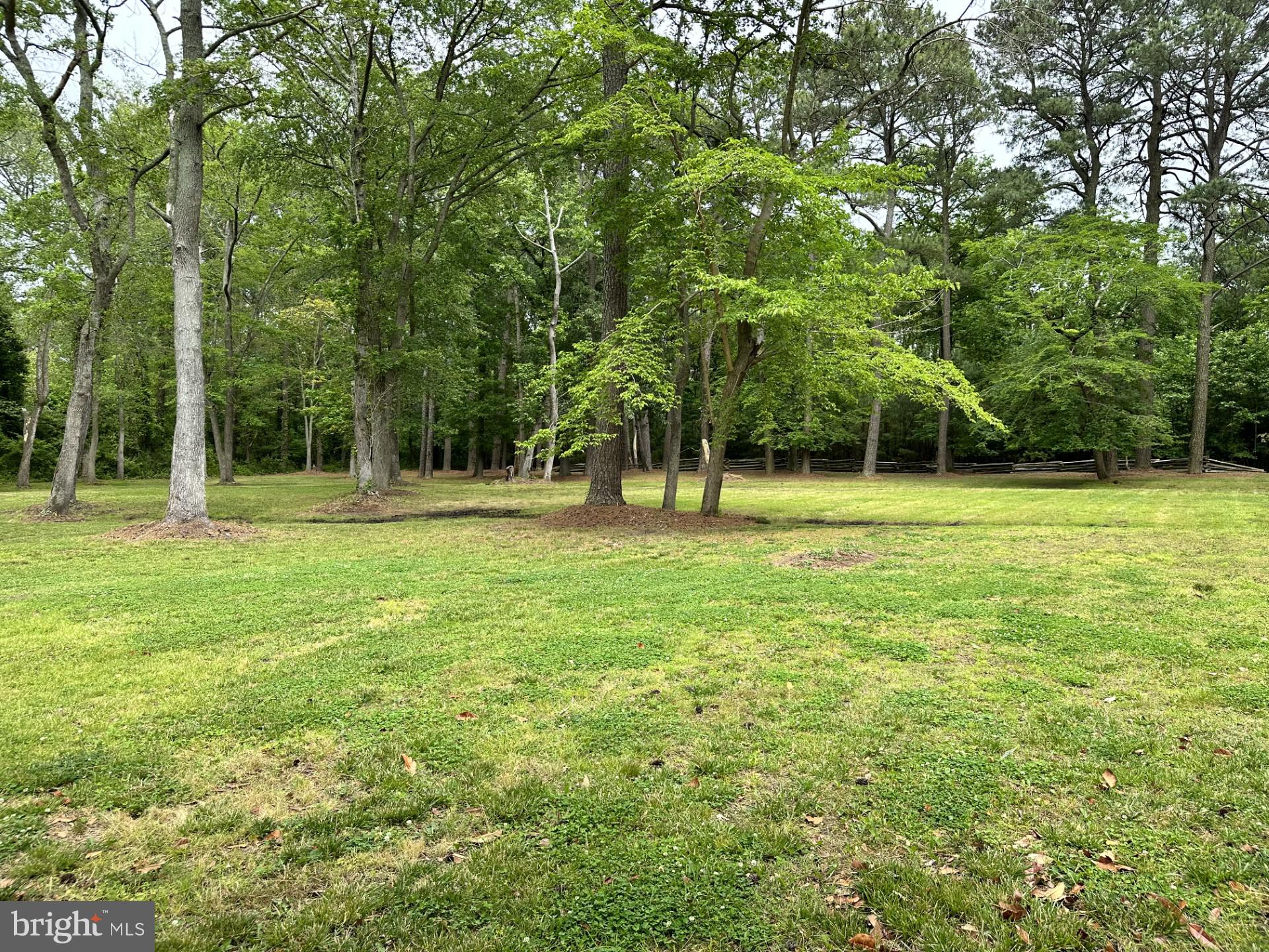26463 Asbury Avenue Crisfield, MD 21817 - Photo 14 of 94 a backyard of a house with lots of trees and entertaining space