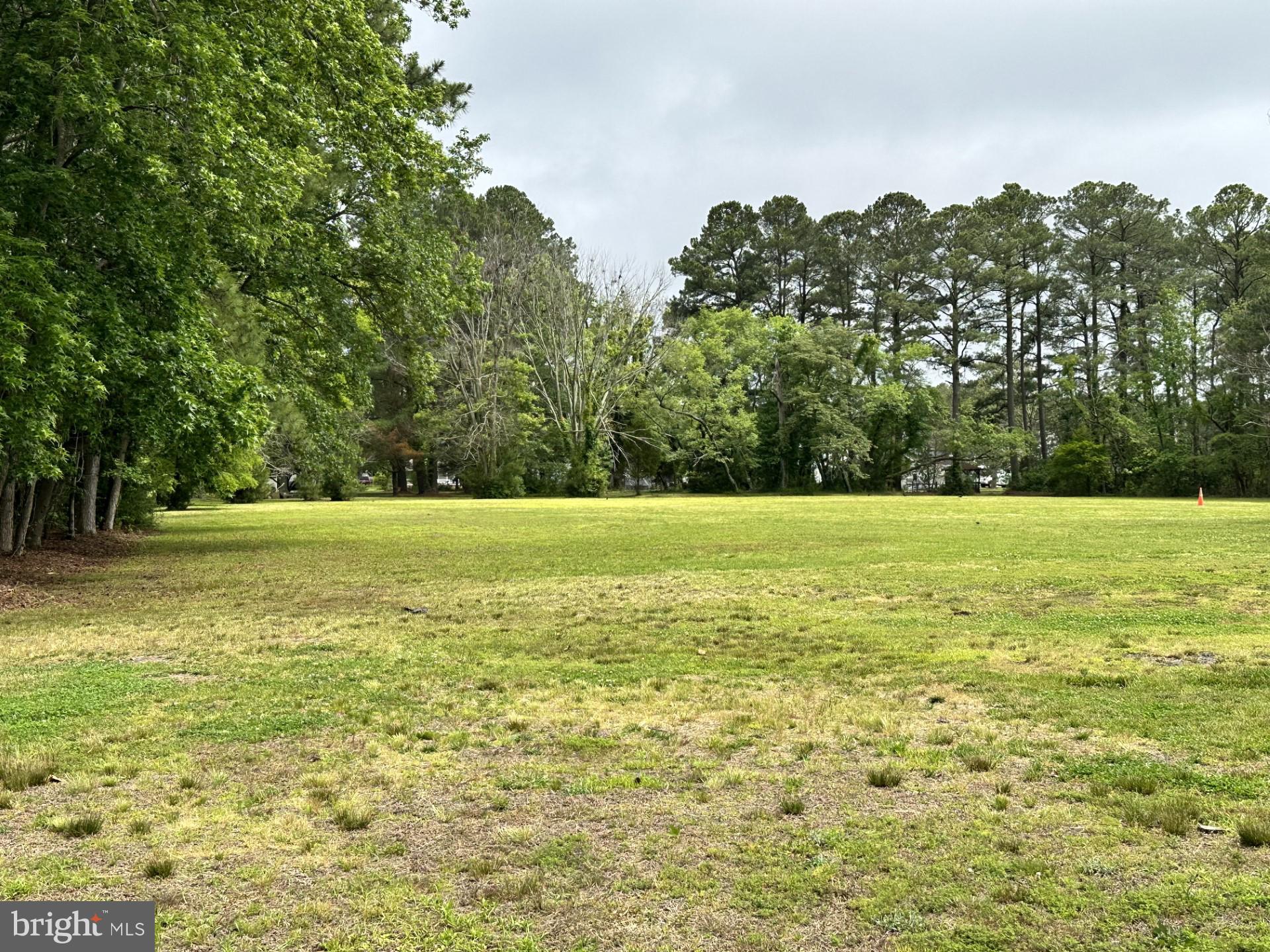 26463 Asbury Avenue Crisfield, MD 21817 - Photo 16 of 94 a view of a green field with an trees