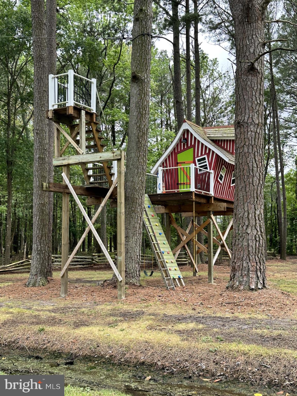 26463 Asbury Avenue Crisfield, MD 21817 - Photo 18 of 94 Dr. Seuss playhouse & zip line