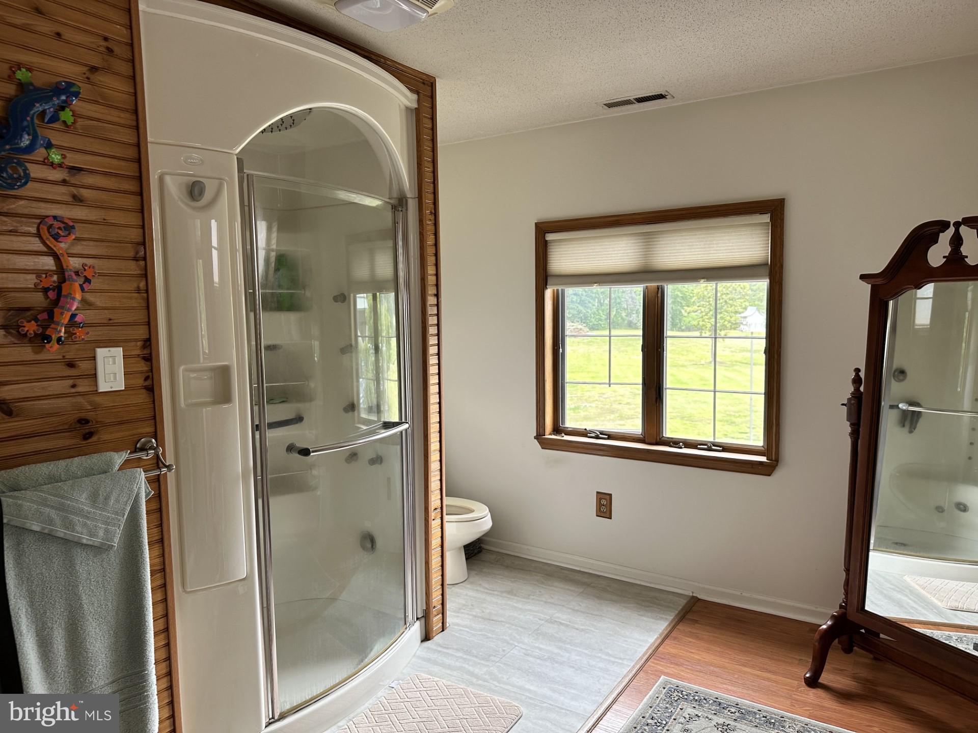 26463 Asbury Avenue Crisfield, MD 21817 - Photo 20 of 94 Primary bathroom with steam shower