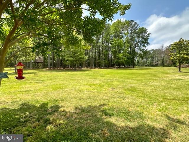 26463 Asbury Avenue Crisfield, MD 21817 - Photo 32 of 94 13.72 acres