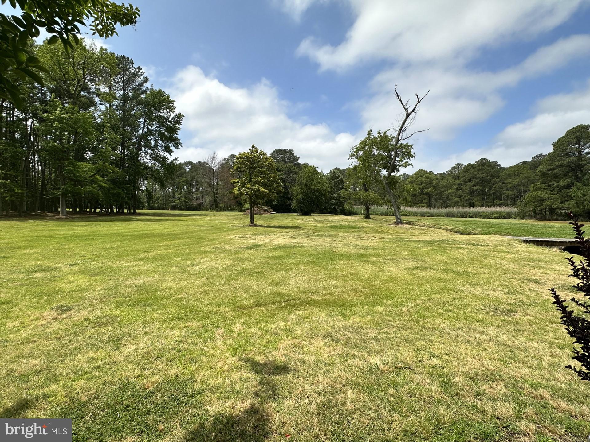 26463 Asbury Avenue Crisfield, MD 21817 - Photo 33 of 94 Expansive 13.72 acres