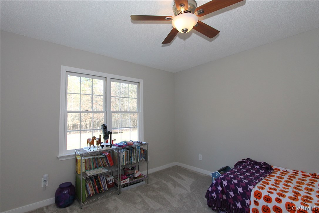 6225 Hair Road Disputanta, VA 23842 - Photo 12 of 41 Gallery Image 12