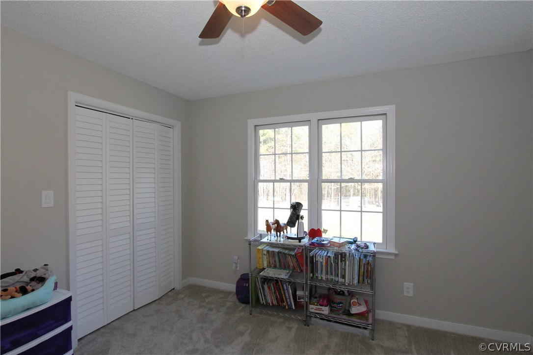 6225 Hair Road Disputanta, VA 23842 - Photo 13 of 41 Gallery Image 13