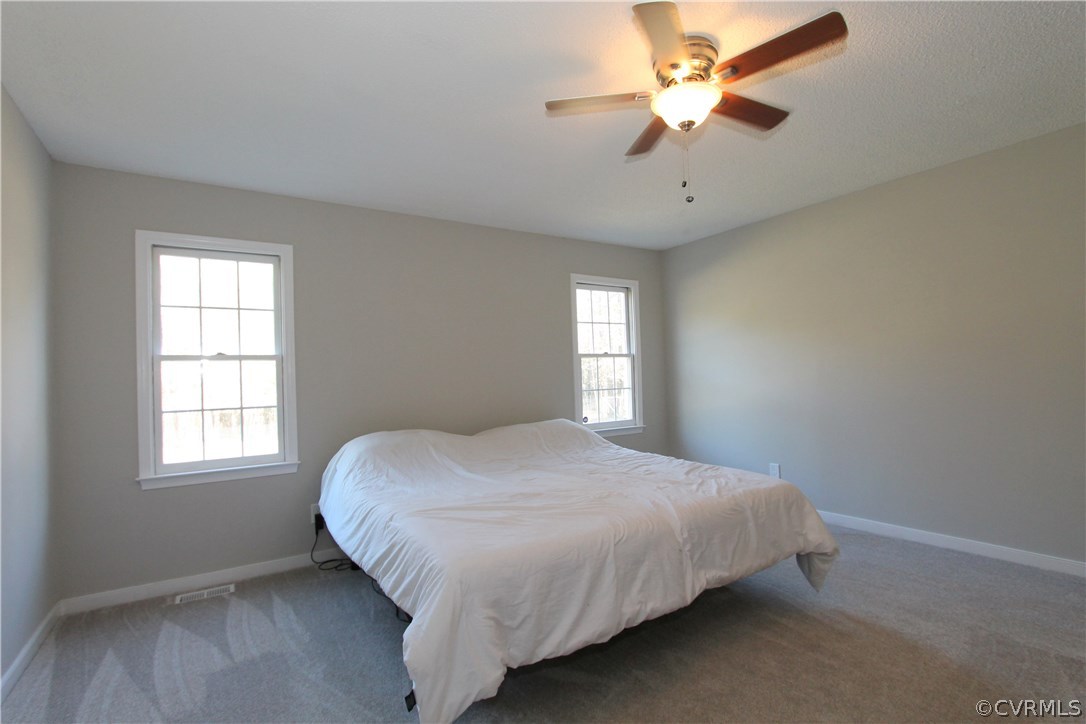 6225 Hair Road Disputanta, VA 23842 - Photo 15 of 41 Gallery Image 15