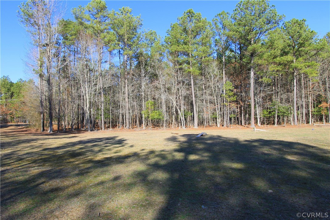 6225 Hair Road Disputanta, VA 23842 - Photo 35 of 41 Gallery Image 35