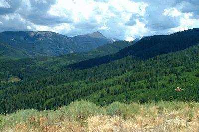 1711 Colorow Road Edwards, CO 81632 - Photo 1 of 1 Primary Photo
