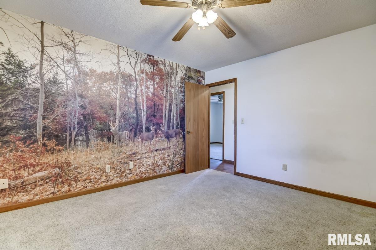 111 Allegheny Road Rochester, IL 62563 - Photo 22 of 36