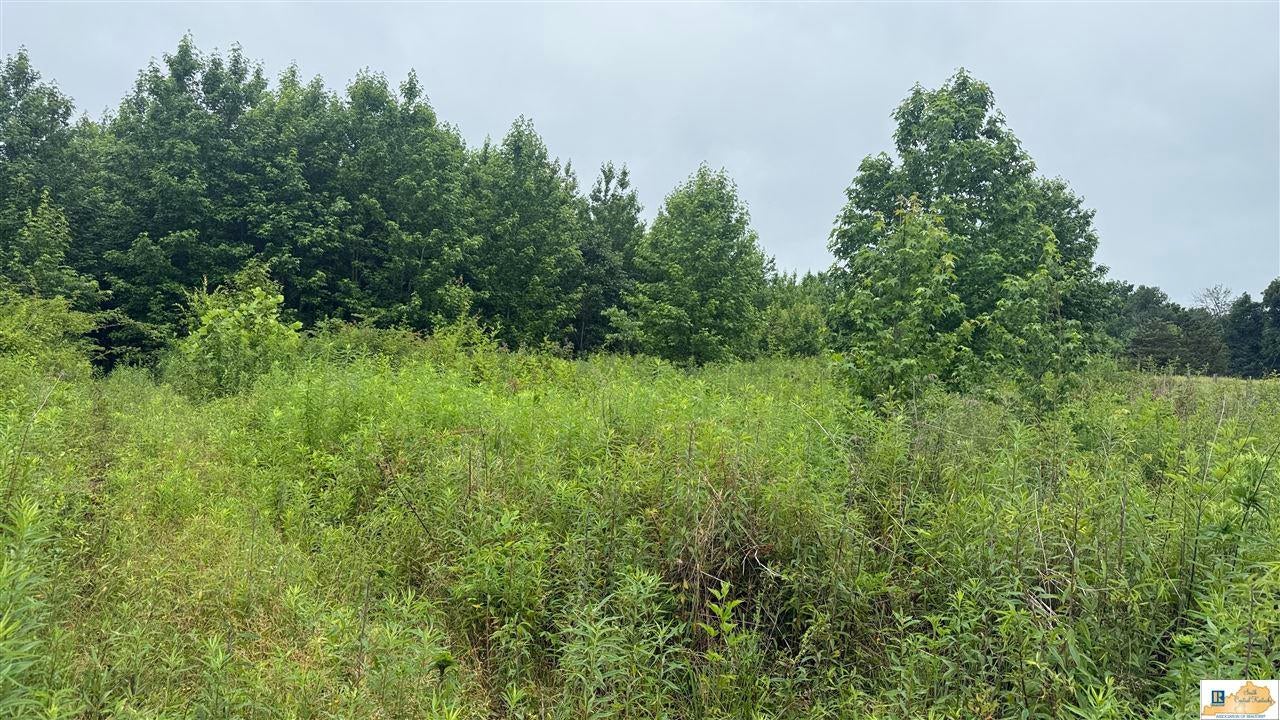 705 Goodluck Beaumont Road Edmonton, KY 42129 - Photo 22 of 33 Gallery Image 22