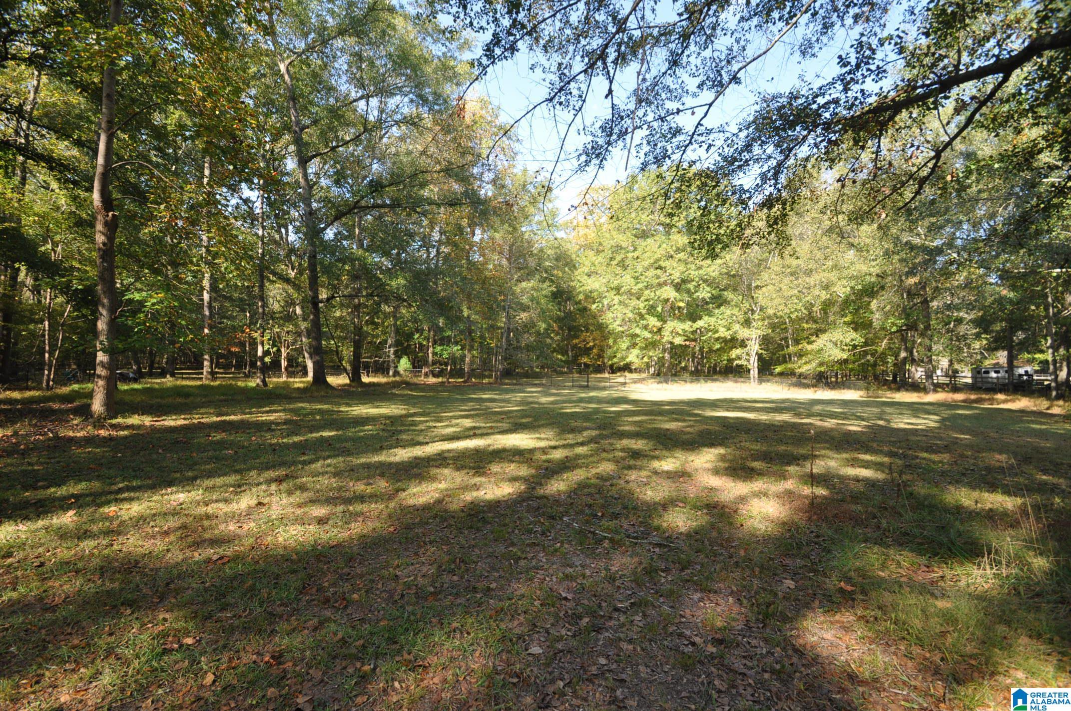 105 Kings Crest Lane Pelham, AL 35124 - Photo 5 of 26