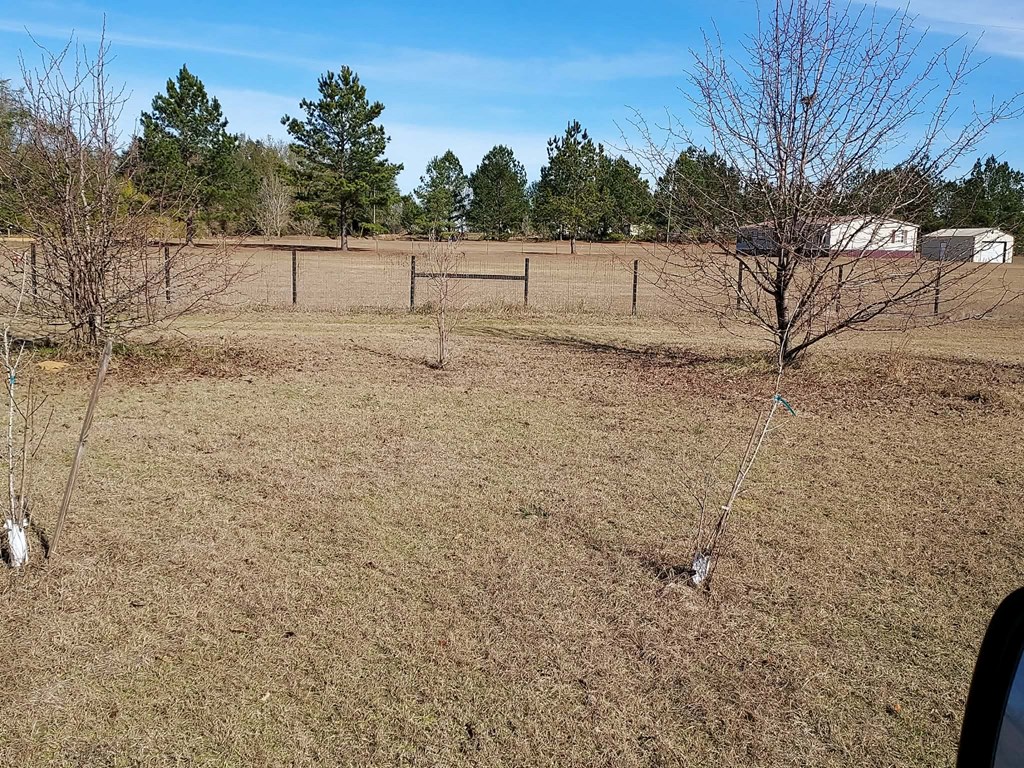 1287 Dock Lamb Road Pansey, AL 36370 - Photo 4 of 28