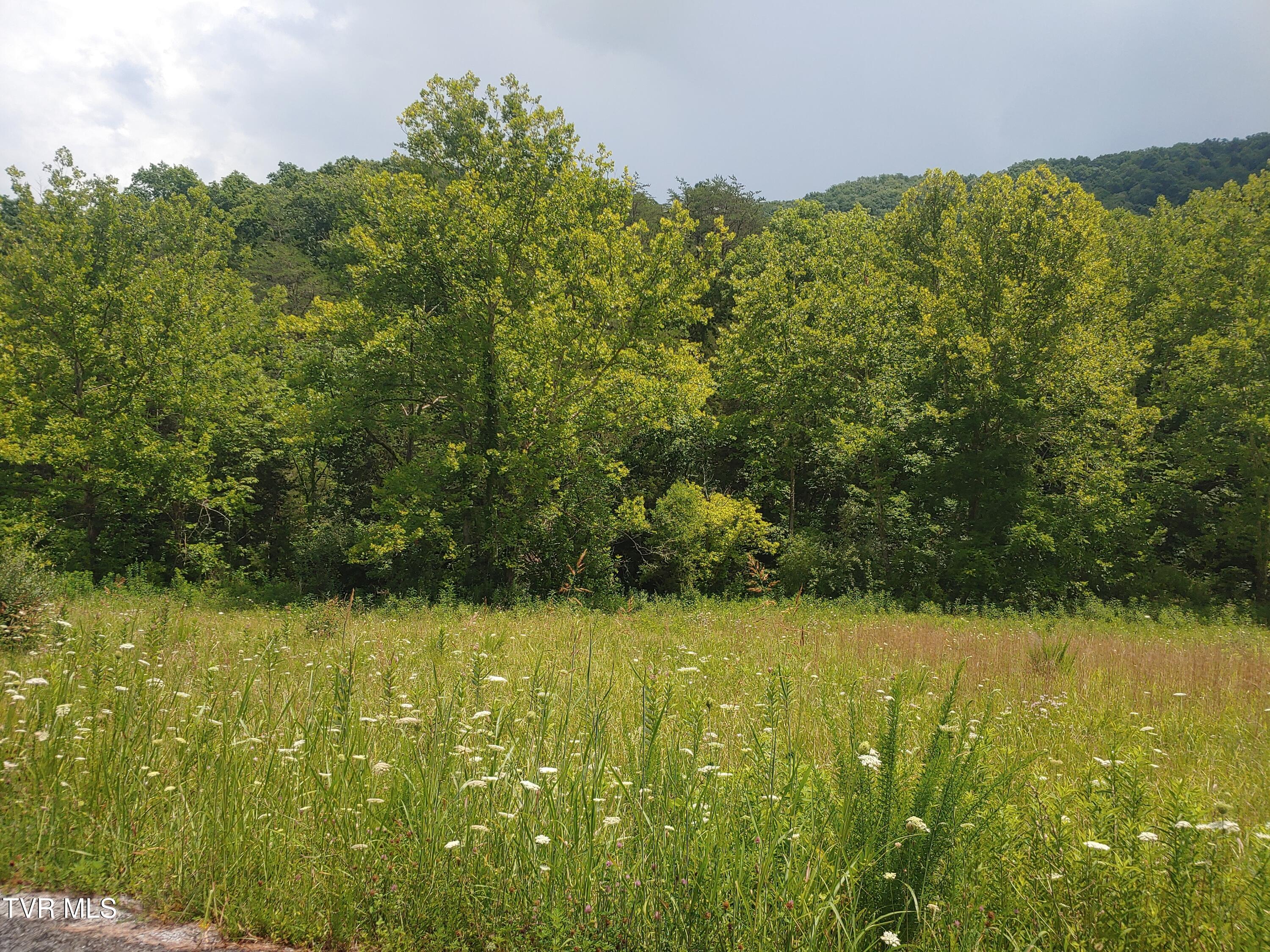 0 War Creek Road Eidson, TN 37731 - Photo 6 of 12 0705261413b
