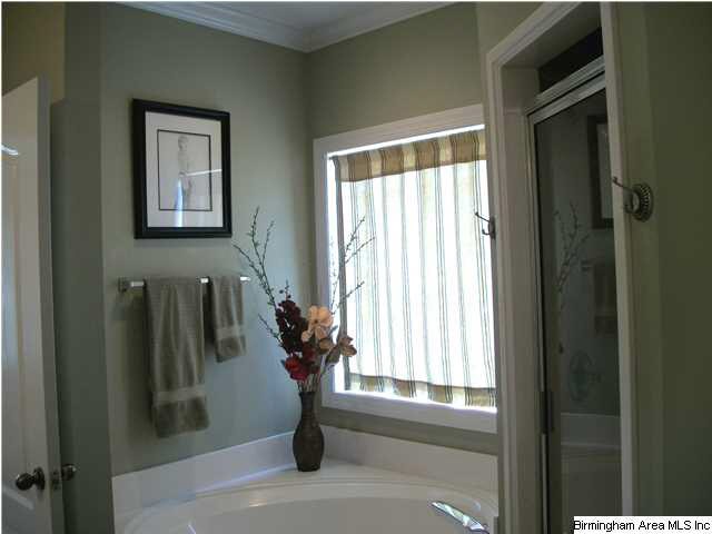 235 Ridgefield Drive Odenville, AL 35120 - Photo 19 of 31