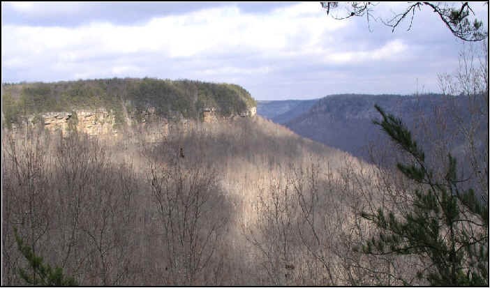 0 North Rim Drive Coalmont, TN 37313 - Photo 4 of 4