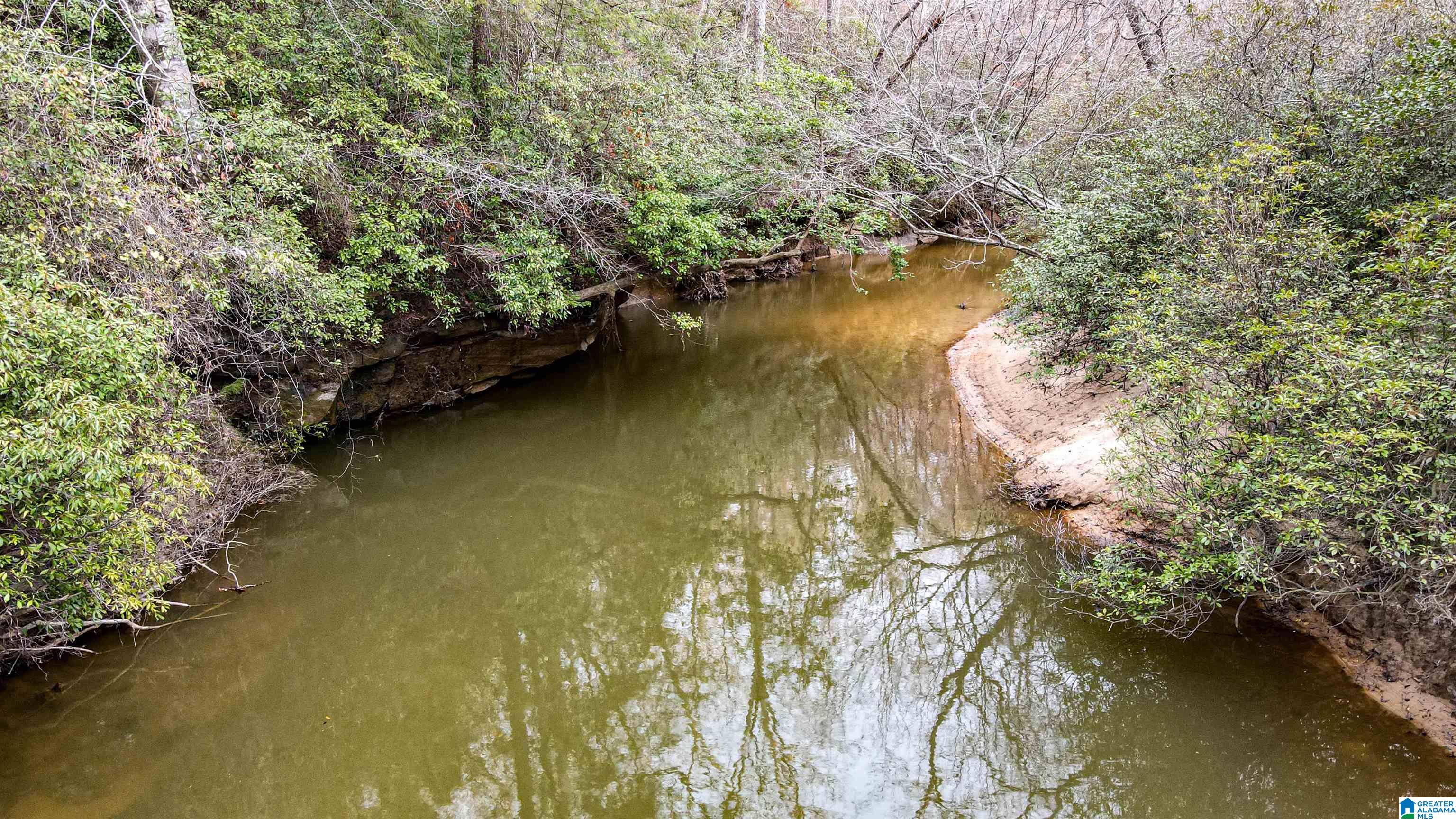 339 County Road Nauvoo, AL 35578 - Photo 25 of 57